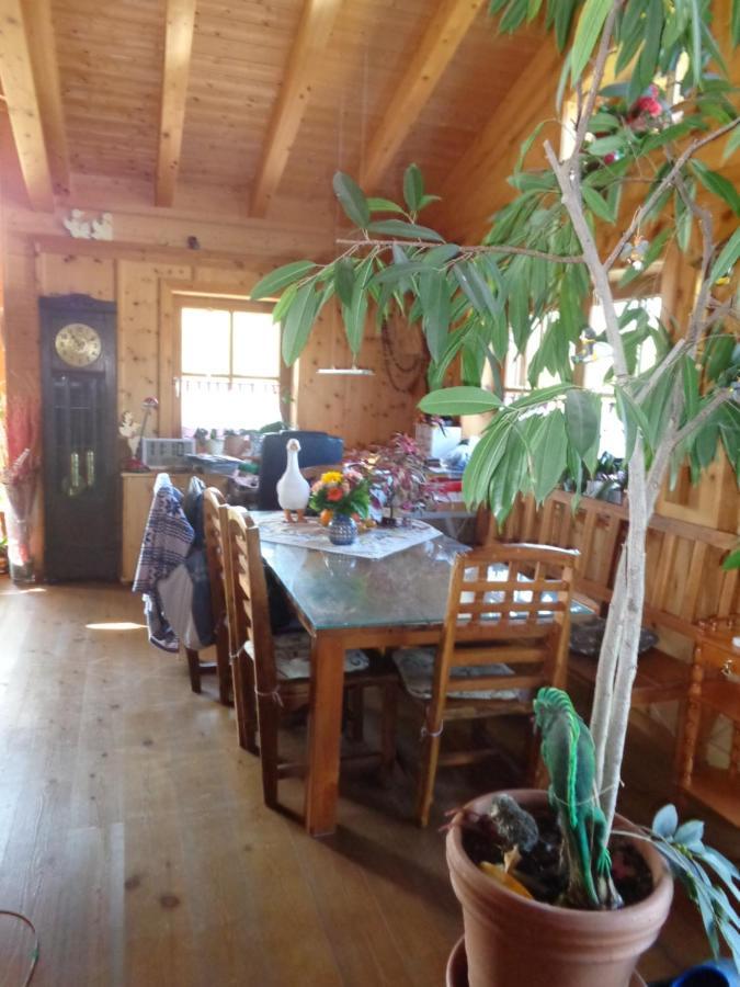 Barrierefreies Zimmer Im Blockhaus Mit Sauna Am See Soyen Экстерьер фото